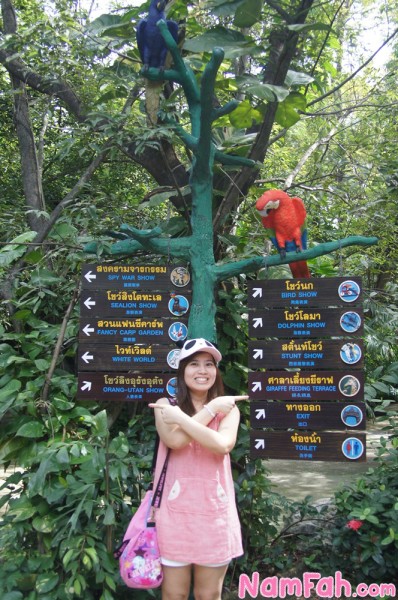 safari-world-zoo-bangkok-51